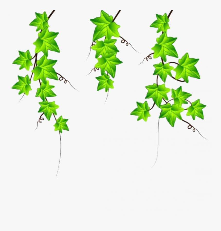 How To Draw Vines In Revit Pumpkin On A Wall Drawing - Ivy Vector, HD Png Download, Free Download