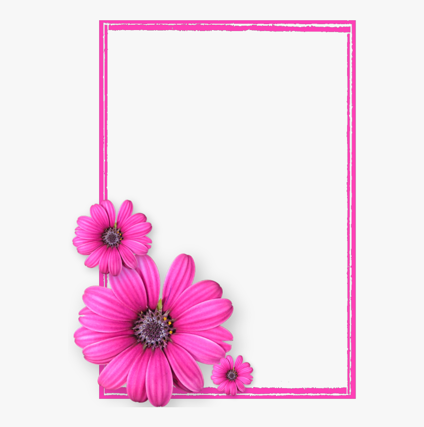 Pink Frame Png Pink Flower Frames And Borders Png Transparent Png | The ...