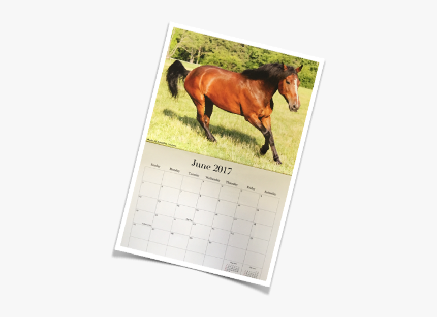 Rc 2017 Calendar Pix, HD Png Download, Free Download