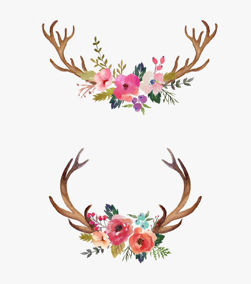 Watercolour Flowers Watercolor Painting - Antlers With Flowers Clipart, HD Png Download, Free Download