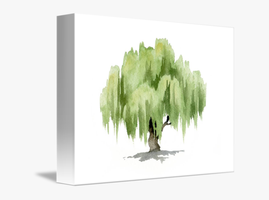 Transparent Willow Png - Willow Tree Watercolor Painting, Png Download, Free Download