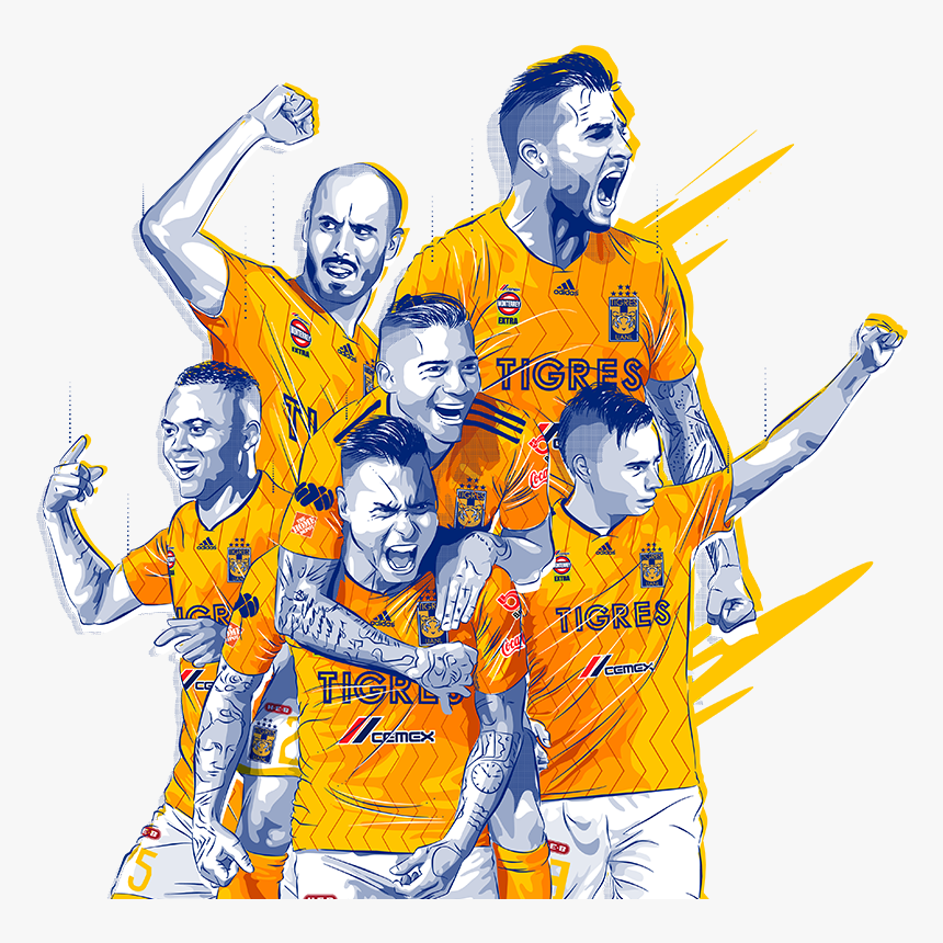 Tigres Png, Transparent Png, Free Download
