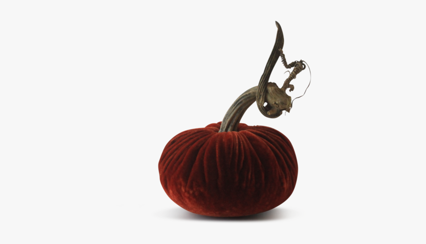 Velvet Pumpkins"
 
 Data Image Id="15325056390"
 Class="productimg - Pumpkin, HD Png Download, Free Download