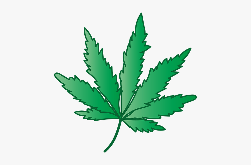 Cannabis, Maconha, Grama, Erva Daninha, Planta, Cânhamo - Cannabis, HD Png Download, Free Download