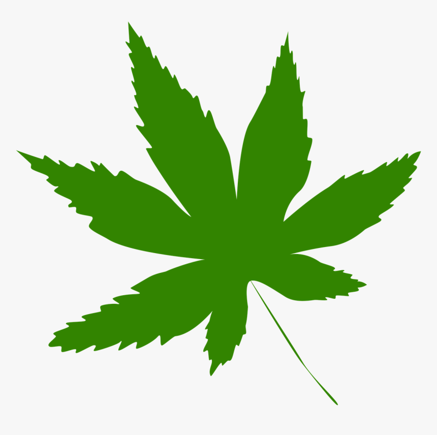 Icon Leaf Green - No Cannabis, HD Png Download, Free Download