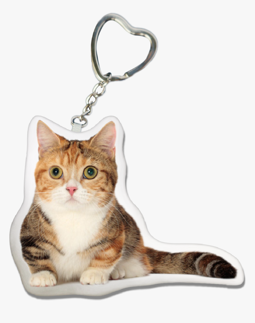 Munchkin Cat Key-ring, HD Png Download, Free Download