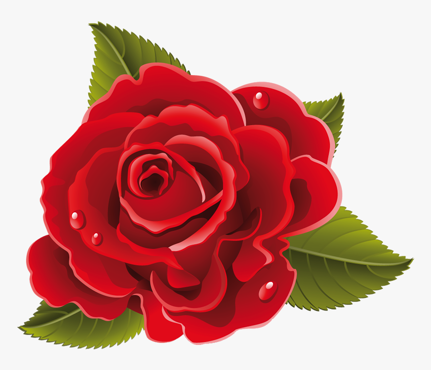 Flores Rojas Png - Rose Flower Drawing Png, Transparent Png, Free Download