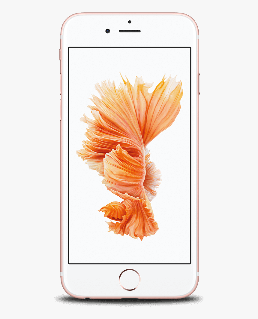 Undefined Rose Gold Front - Phone 6s Price In Sri Lanka, HD Png Download, Free Download