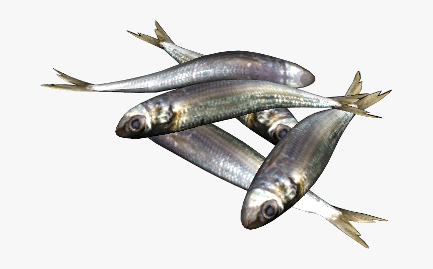 Sardines - Png Sardine Fish, Transparent Png, Free Download