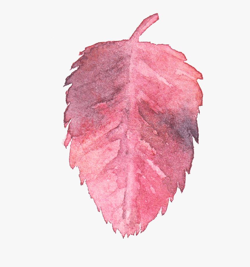 Pink Watercolor Transparent Free Download Png - Transparent Fall Leaf Water Color, Png Download, Free Download