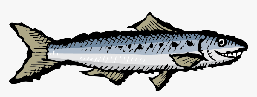 Smiling Sardine, HD Png Download, Free Download