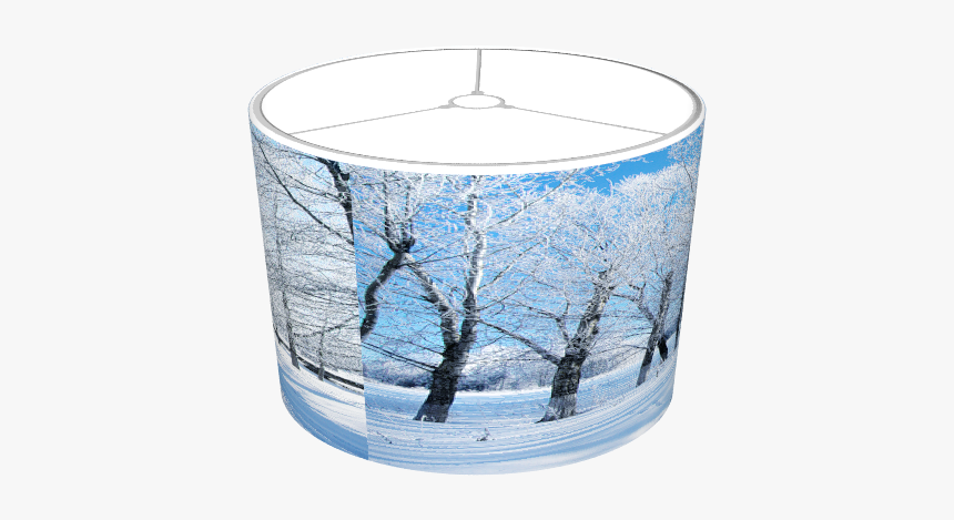 Winter Snows Scene - Birch, HD Png Download, Free Download