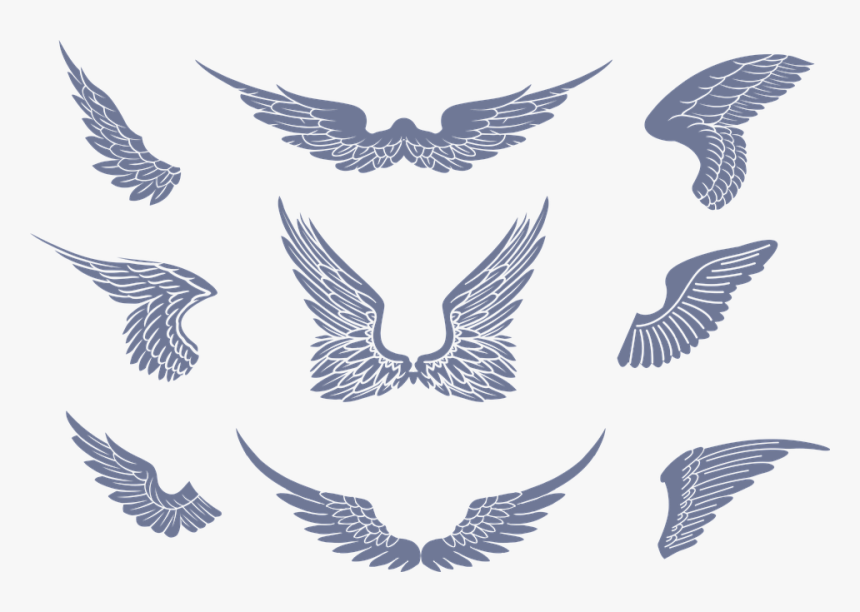 Alas, Vector, Diseño, Pájaro, Pluma, Ilustrador, Vuelo - Hawk, HD Png Download, Free Download