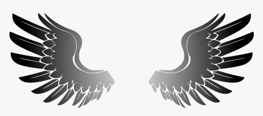 Wings, Angel, Eagle, Bird, HD Png Download, Free Download