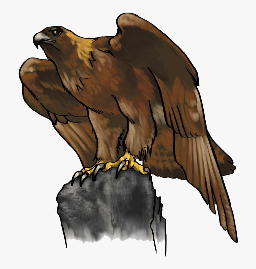 Head Clipart Golden Eagle - Clip Art Golden Eagle, HD Png Download, Free Download