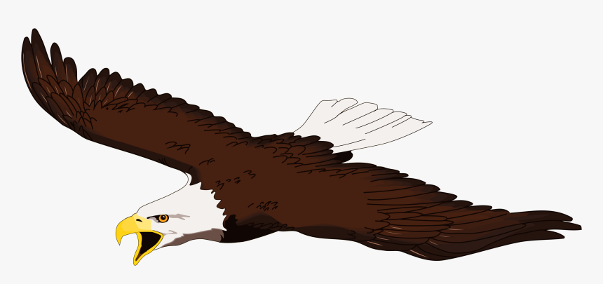 Eagle Transparent Clipart Gallery High-quality Png - Flying Clipart Bald Eagle, Png Download, Free Download