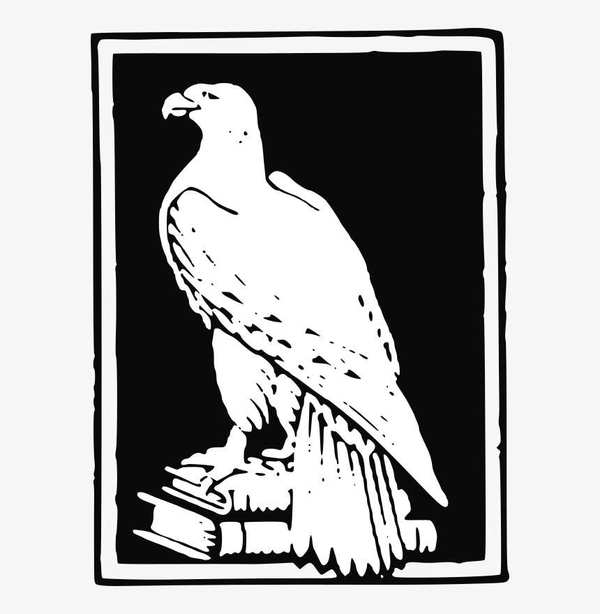 Book Eagle, HD Png Download, Free Download