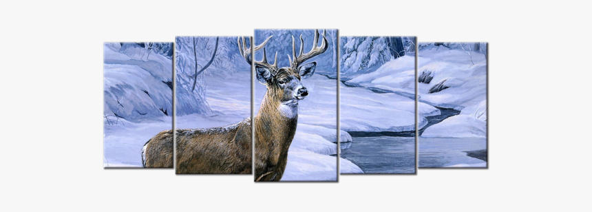 Beautiful Deer In Winter, HD Png Download, Free Download