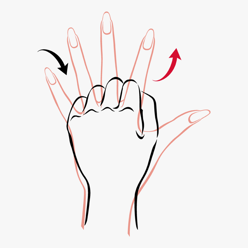 Transparent Hand Fist Png - Clip Art Finger Hand Stretch, Png Download, Free Download