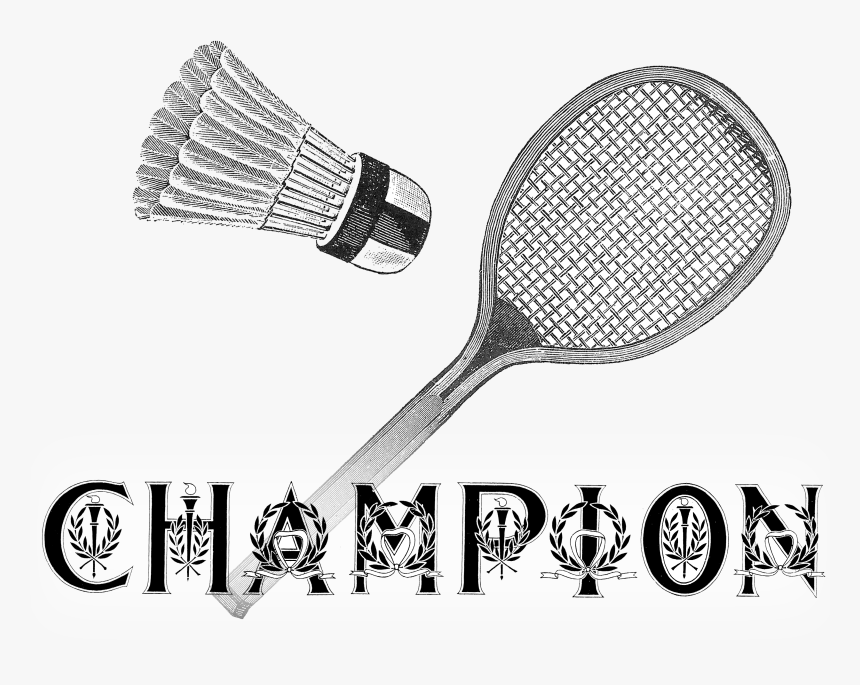 Transparent Badminton Clipart - Badminton, HD Png Download, Free Download