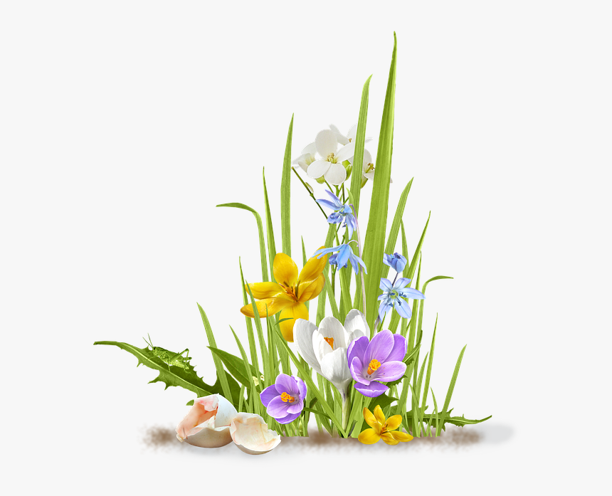 Spring Png Transparent Images - Spring Flowers Png Transparent, Png Download, Free Download