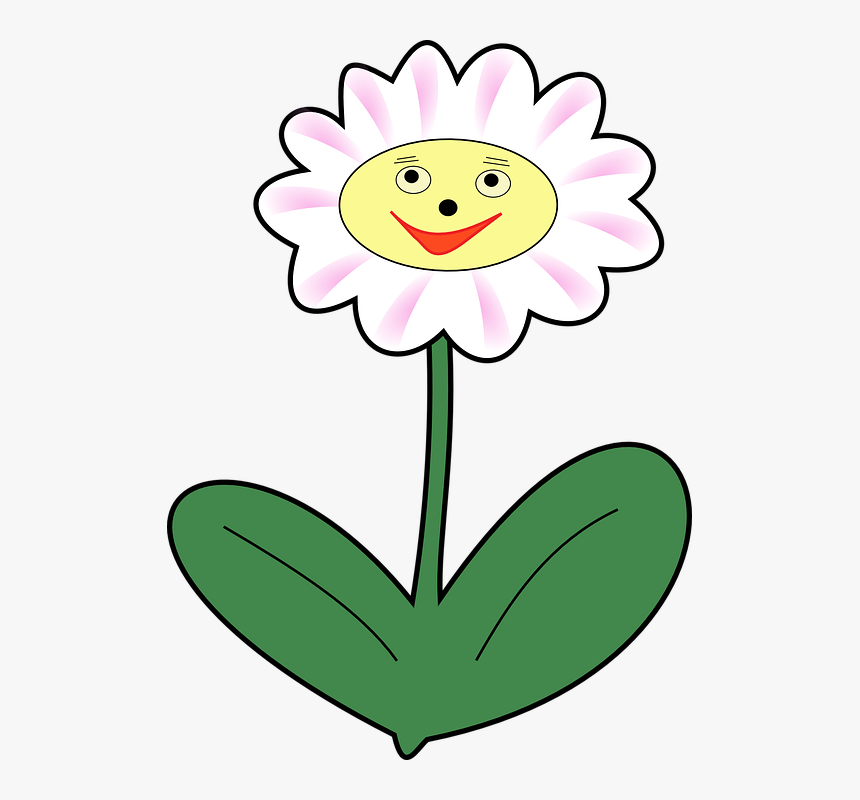 Happy Spring Png -daisy Flower Plant Face Happy Spring - Planta Feliz, Transparent Png, Free Download