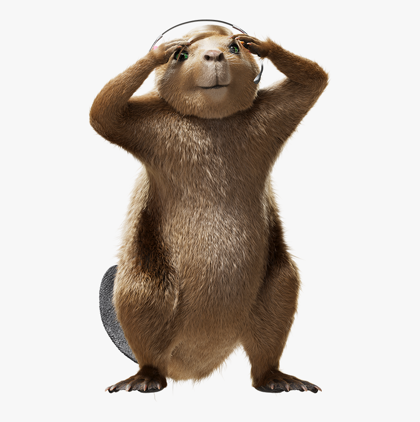 Punxsutawney Phil, HD Png Download, Free Download