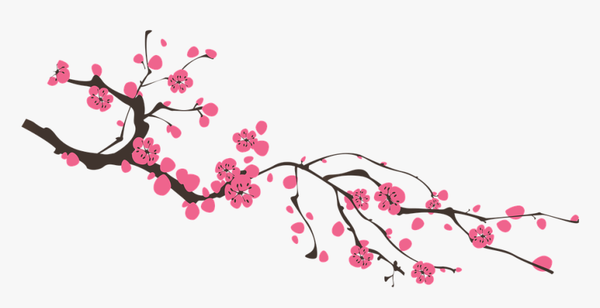 Spring Png - Sakura Png, Transparent Png, Free Download
