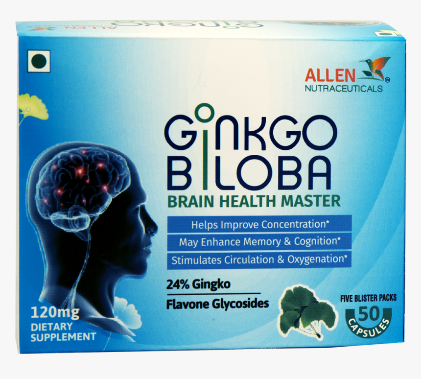 Ginkgo-biloba - Brain, HD Png Download, Free Download