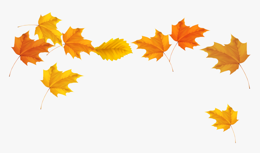 Handmade Watercolor Autumn Fall Yellow Ginkgo Leaves - Transparent Background Autumn Leaves Png, Png Download, Free Download