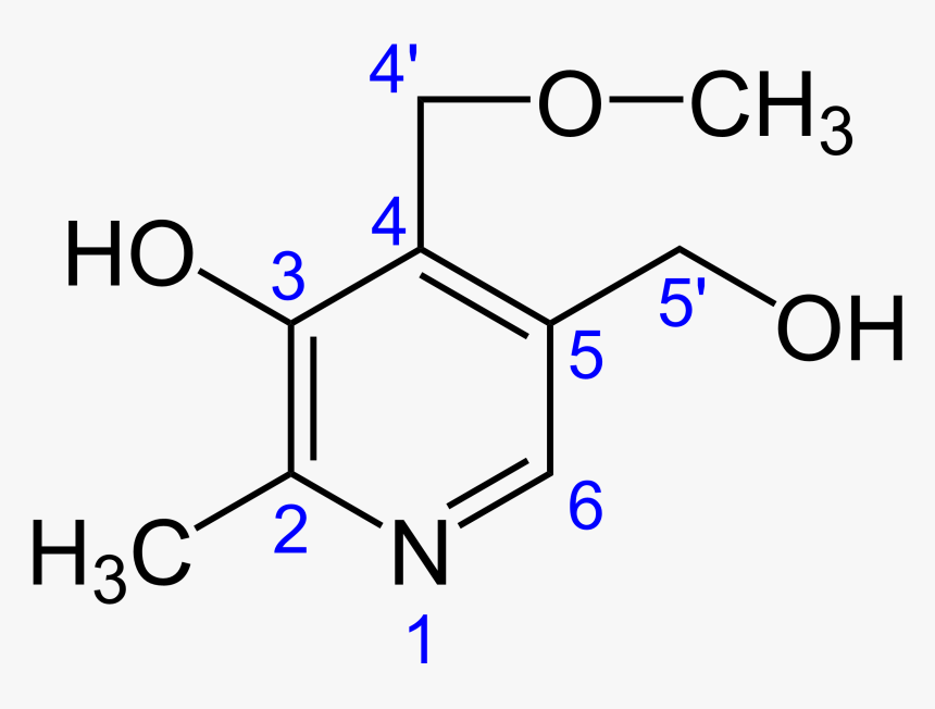 Ginkgotoxin - Tetraethyl Orthosilicate, HD Png Download, Free Download