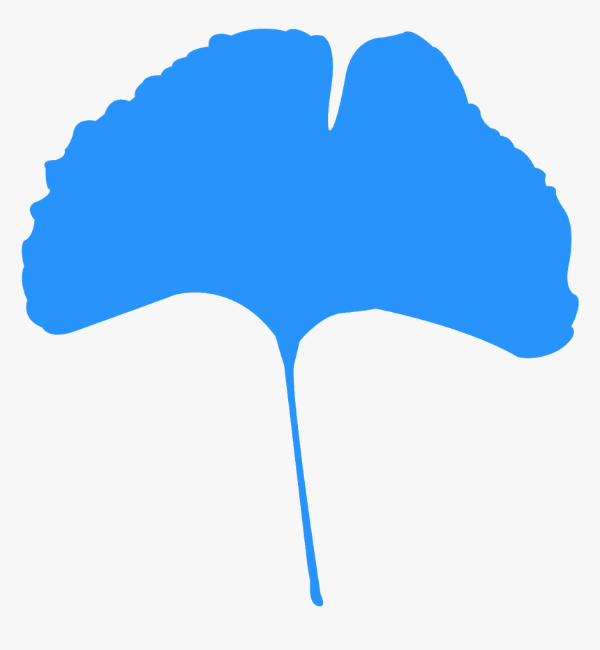 Free Vector Ginkgo Leaf, HD Png Download, Free Download