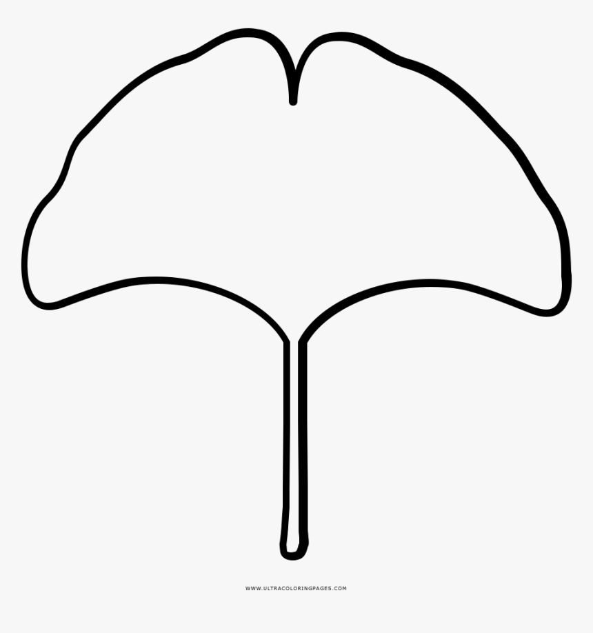 Ginkgo Leaf Coloring Page - Line Art, HD Png Download - kindpng