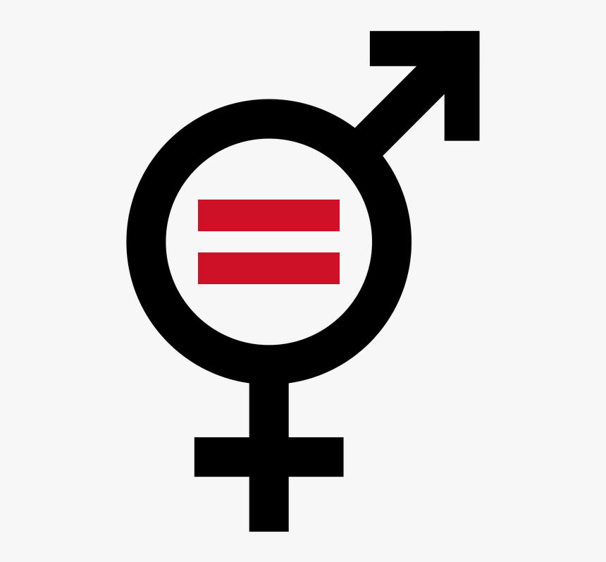 Feminismo De La Igualdad, HD Png Download, Free Download