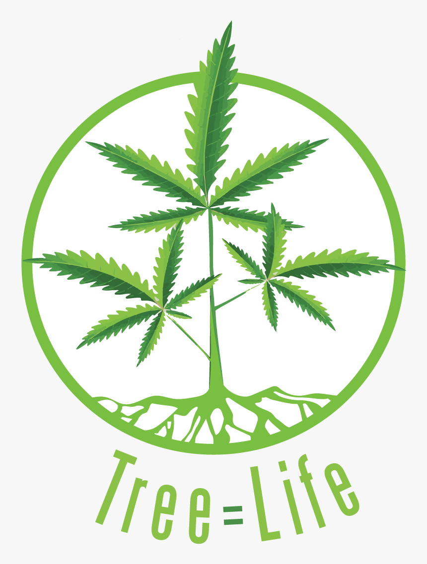 Cannabis Tree Of Life, HD Png Download, Free Download
