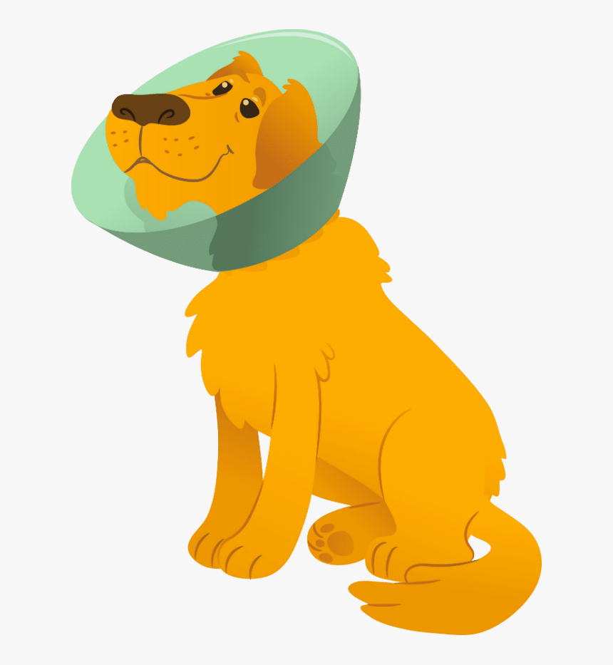 Best Age To Spay A Female Golden Retriever - Cartoon, HD Png Download, Free Download