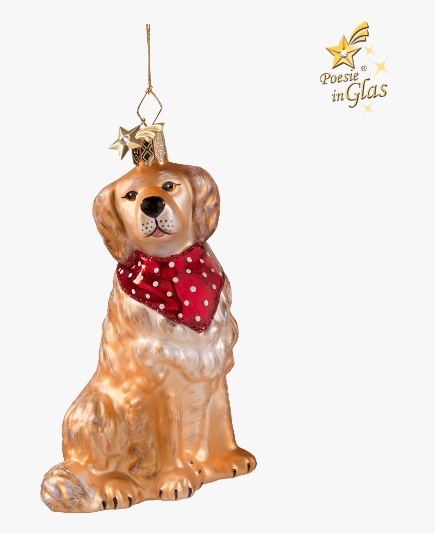 Golden Retriever, HD Png Download, Free Download
