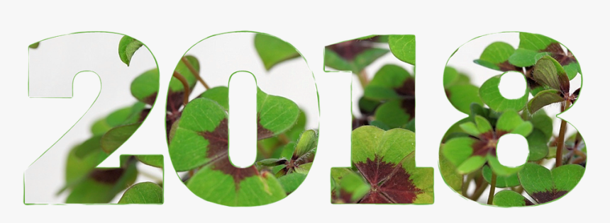 Sustainability New Year, HD Png Download, Free Download