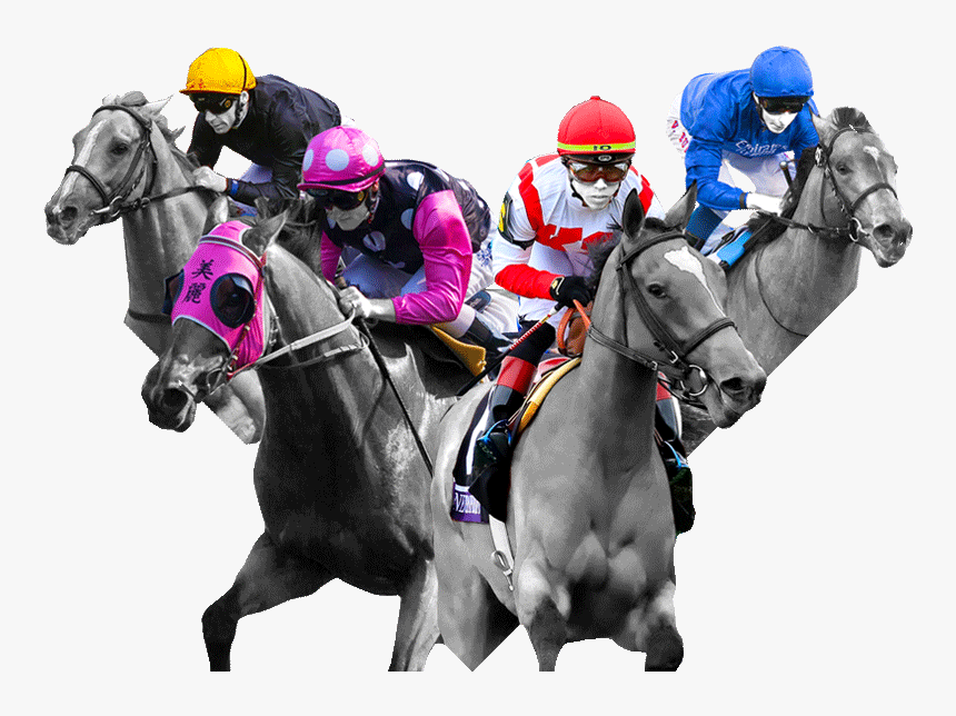 Horse Racing Png, Transparent Png, Free Download