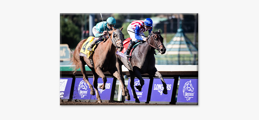 Flat Racing, HD Png Download, Free Download