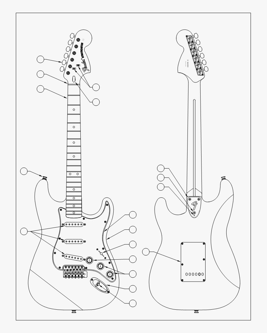 Fender Stratocaster Parts, HD Png Download, Free Download