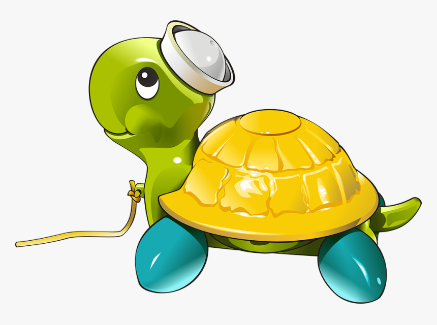 Turtle, HD Png Download, Free Download