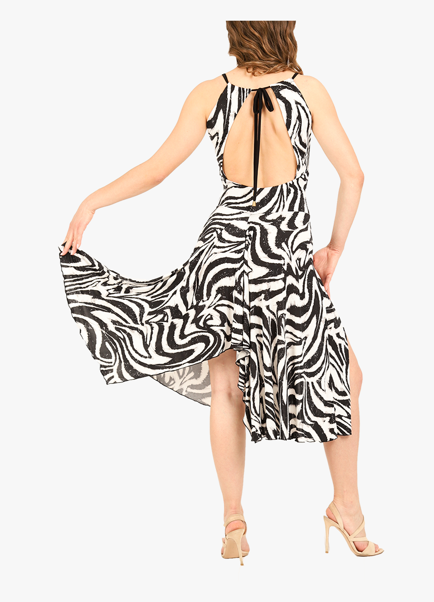 Zebra Print Milonga Dress - Photo Shoot, HD Png Download, Free Download