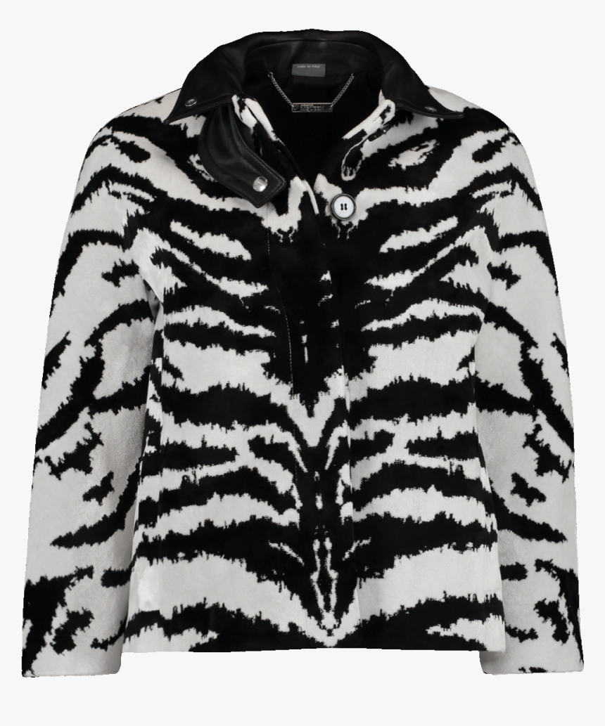 Coat, HD Png Download, Free Download