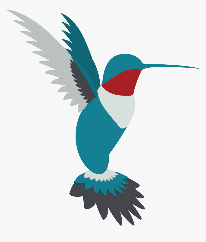 Hummingbird, HD Png Download, Free Download