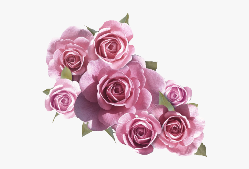White And Pink Flowers Png, Transparent Png, Free Download