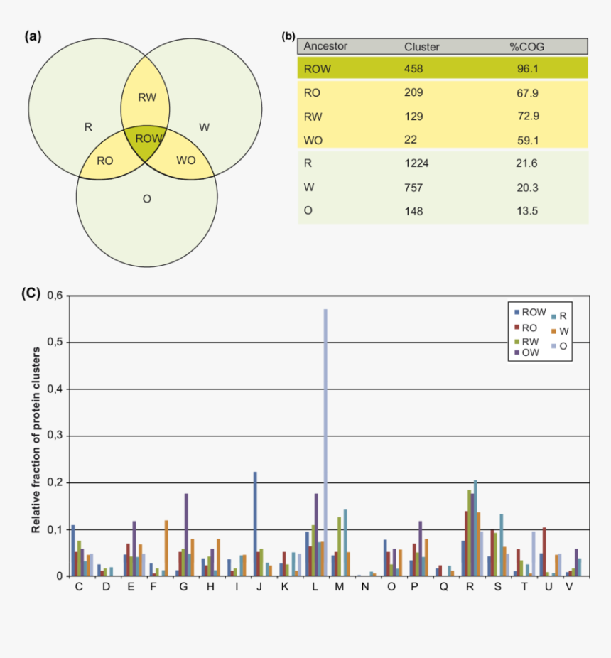 Diagram, HD Png Download, Free Download