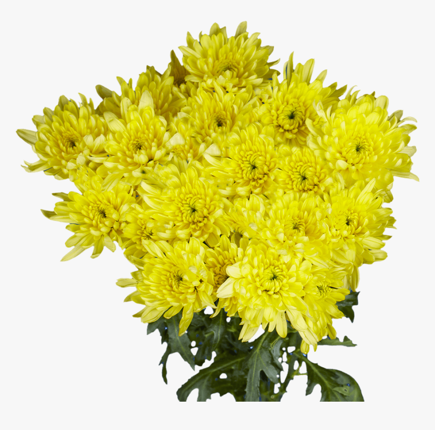 Bouquet, HD Png Download, Free Download