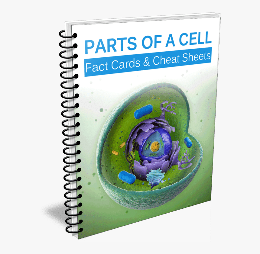 Cell, HD Png Download, Free Download