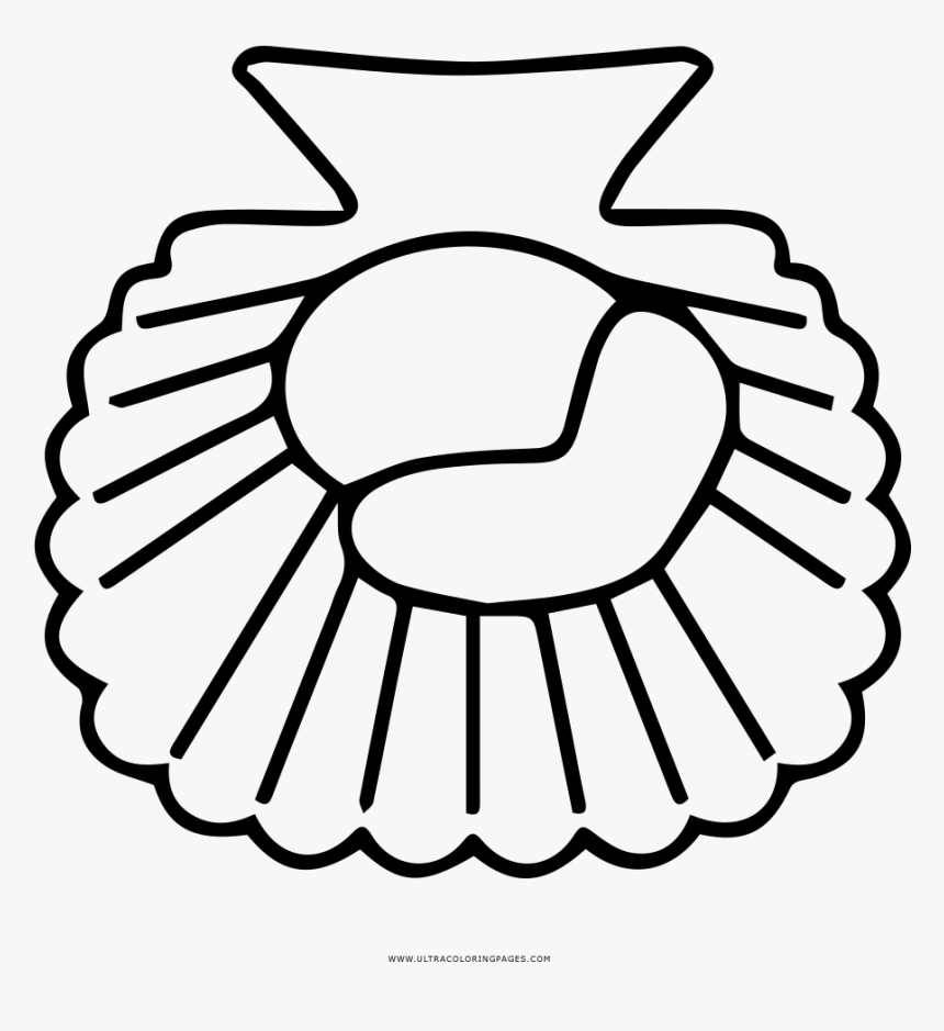 Scallop Coloring Page - Transparent Background Thought Bubble Png, Png Download, Free Download